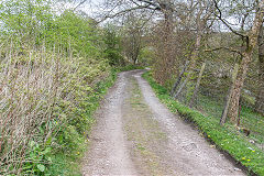 
Tramway past Ty Mawr, Nantyglo, April 2015