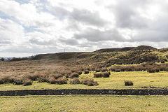 Rhas Fach Patches, Brynmawr, March 2019