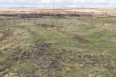 Rhas Fach Patches, Brynmawr, March 2019