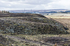 Rhas Fach Patches, Brynmawr, March 2019
