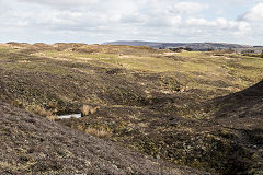 Rhas Fach Patches, Brynmawr, March 2019