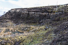 Rhas Fach Patches, Brynmawr, March 2019