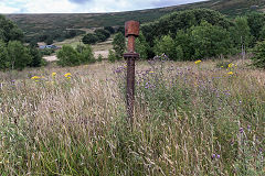 
Vent pipe of a watercourse at the site of Glynmilwr Colliery, July 2017