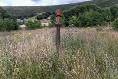 
Vent pipe of a watercourse at the site of Glynmilwr Colliery, July 2017