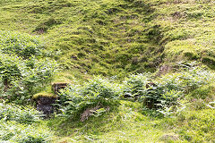 
Second of the possible levels, East Blaina Red Ash Colliery, June 2014