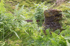 
Second of the possible levels, East Blaina Red Ash Colliery, June 2014