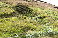 
Third of the possible levels, East Blaina Red Ash Colliery, June 2014