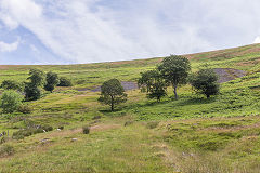 
The tips from the incline, East Blaina Red Ash Colliery, June 2014