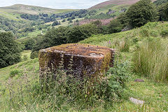 
The ropeway running North, East Blaina Red Ash Colliery, June 2014