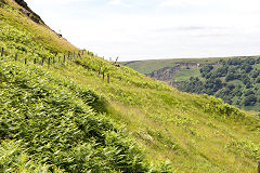 
Tips at the end of the tramway, East Blaina Red Ash Colliery, June 2014