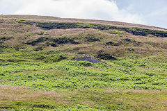 
Tips at the end of the tramway, East Blaina Red Ash Colliery, June 2014