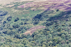 
Cwm and Mon Colliery from the West bank, 3rd level, August 2017