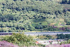 
Cwm Colliery from the West bank, August 2017