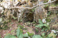 
Small level near No 1 level, Cwm and Mon Colliery, Cwm, November 2013