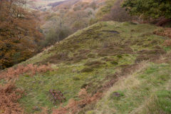 
3rd level tips, Cwm and Mon Colliery, Cwm, November 2013