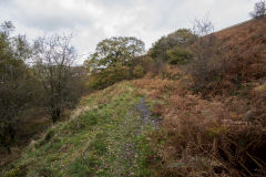 
4th level tramway, Cwm and Mon Colliery, Cwm, November 2013