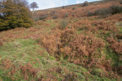 
North level, Cwm and Mon Colliery, Cwm, November 2013