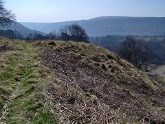 
North level tips, Cwm and Mon Colliery, Cwm, November 2013