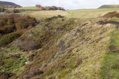 
North level tips, Cwm and Mon Colliery, Cwm, November 2013