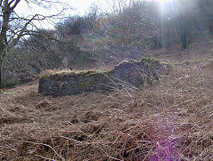 Graig Fawr Colliery foundations, Cwm, April 2009