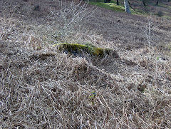 
Graig Fawr Colliery concrete foundations, Cwm, April 2009