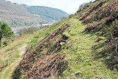 
Lower Woods South level tramway, Ebbw Vale, April 2011