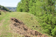 
Lower Woods North level tips, Ebbw Vale, April 2011