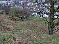 
Maes Mawr Quarry tramway and incline, Cwm, April 2009