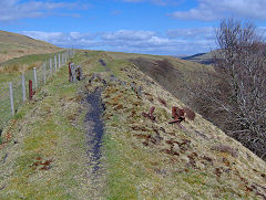 
Top of ropeway to tip, Marine Colliery, Cwm, April 2009