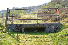 
Bridge on the tip, Marine Colliery, Cwm, April 2011