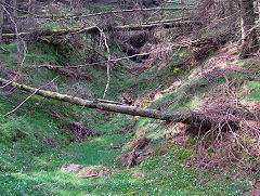 
Old Penyfan Colliery site, Cwm, April 2009