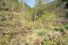 
Old Penyfan Colliery screens, Cwm, April 2011