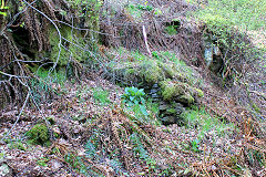 New Penyfan Colliery, older top level, Cwm, April 2011