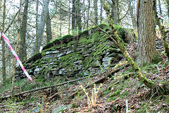 New Penyfan Colliery, older top level, Cwm, April 2011
