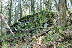 
New Penyfan Colliery, older top level, Cwm, April 2011