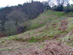 
Old levels near Lower Penyfan Colliery, Cwm, April 2009