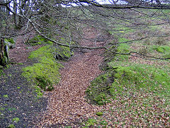 
Old levels near Lower Penyfan Colliery, Cwm, April 2009