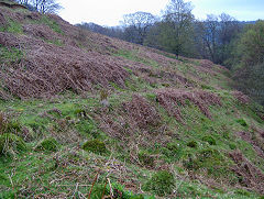 Old levels near Lower Penyfan Colliery, Cwm, April 2009