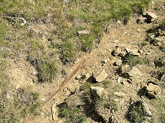 Red Ash Level incline rail, Ty Llwyn, Ebbw Vale, August 2010
