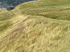 
Red Ash Level upper incline, Ty Llwyn, Ebbw Vale, August 2010