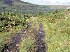 Silent Valley upper incline, Ebbw Vale, August 2010