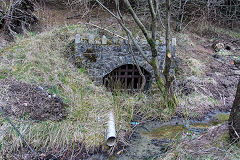 
Cwm Gwybedog drainage level, March 2016