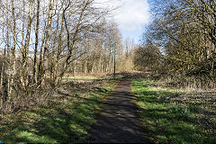 
Garnlydan tramway near A465 Garnlydan junction, March 2019