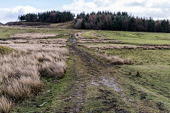 
Garnlydan tramway branch to Rhas Fach workings, March 2019