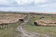 
Garnlydan tramway branch to Rhas Fach workings, March 2019