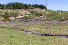 Old Bryn Farm level, Beaufort, May 2019
