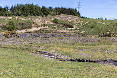 
Old Bryn Farm level, Beaufort, May 2019