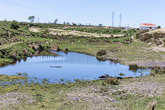 Old Bryn Farm level, Beaufort, May 2019