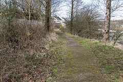 
The Rassa (Trefil) Railroad from Beaufort to Trefil Machine, March 2019