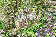 Adams Quarry foundations, Brynawel, May 2014